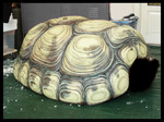 Schildkrötenpanzer, Styropor, ca. 150x75 cm, Projekt "Unaufhaltsam" Zürich